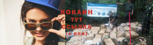 ешки Гусев