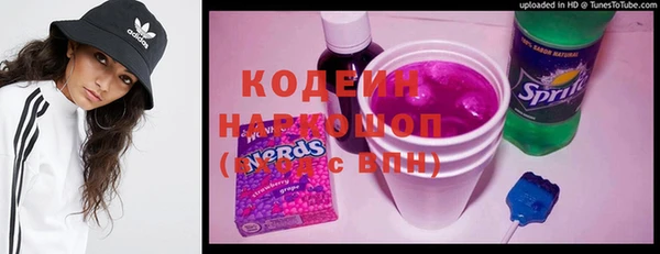 ешки Гусев
