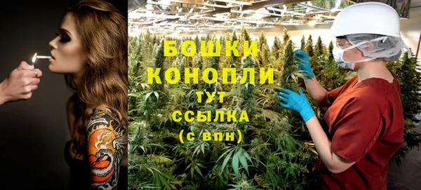 ешки Гусев