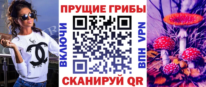 Купить где Карабулак Псилоцибиновые грибы мицелий